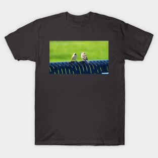 Two Sparrows Resting On a Bench T-Shirt